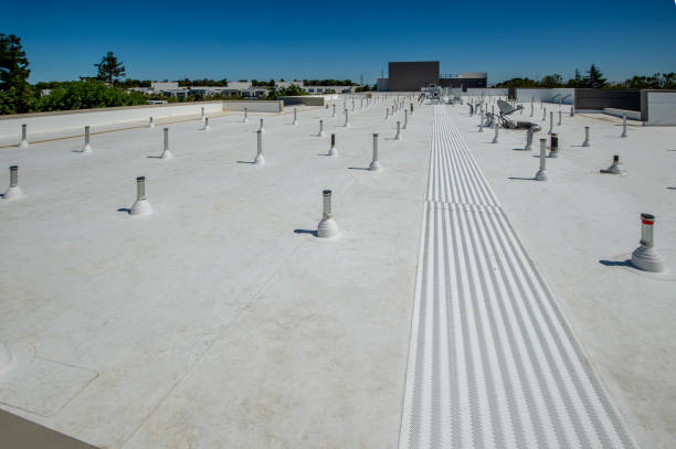 Best Commercial Roofing Services  in Patrick Af, FL